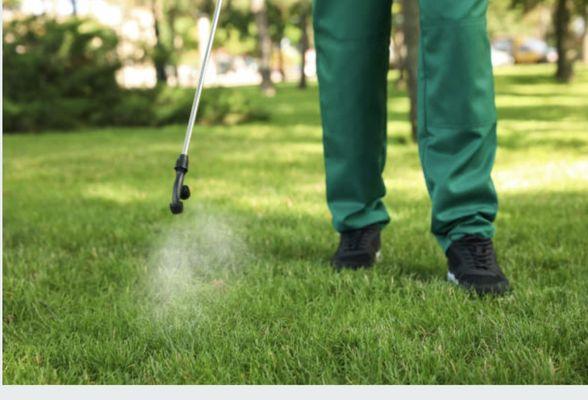 Advanced Pest Management