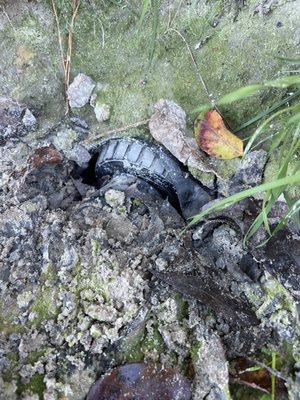 Cracked pipe and exposed to the elements... somehow this passed inspection?