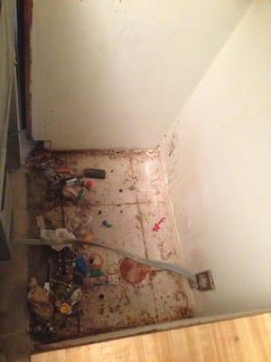 Star Janitorial Services LLC