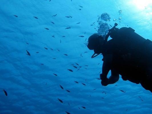 Dive Tech & Sports Cycling Center