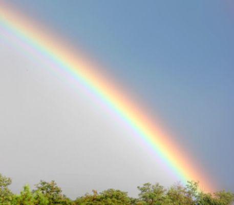 Rainbow Child And Family Counseling