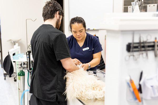 PetNest Animal Hospital