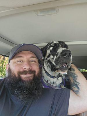 The Bearded Dog Training Company