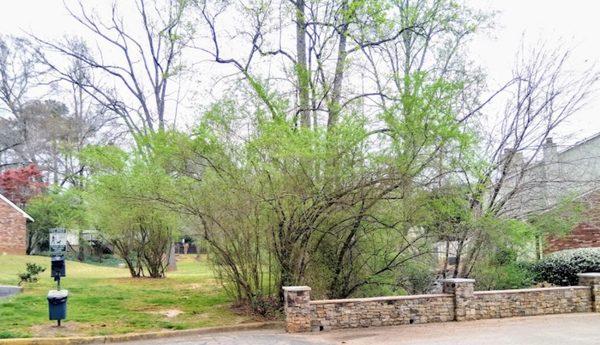 Covered Bridge Condominium Association