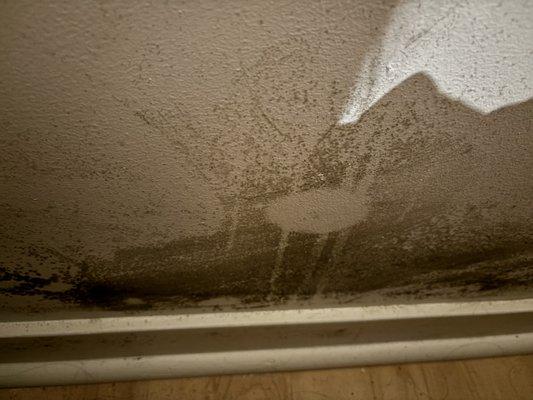 77 Bluxome Apartments