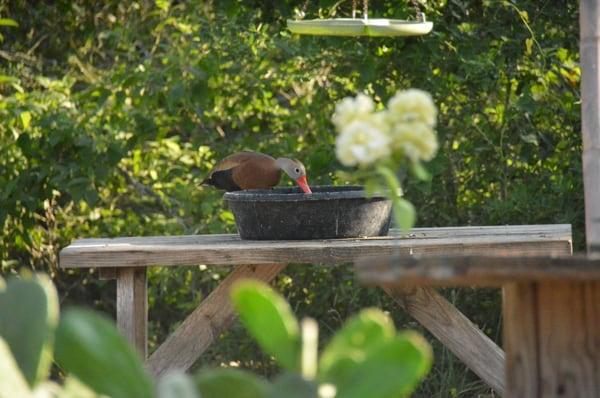 Hidden Oaks RV Resort LLC