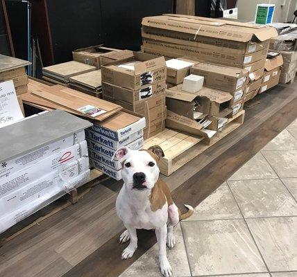 Working on a small project? Ellie has priced our in-stock close outs at crazy low prices!