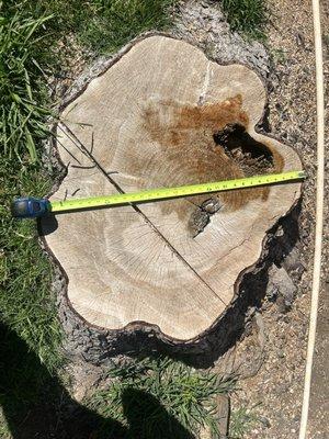 Robert Tompkins Tree Service