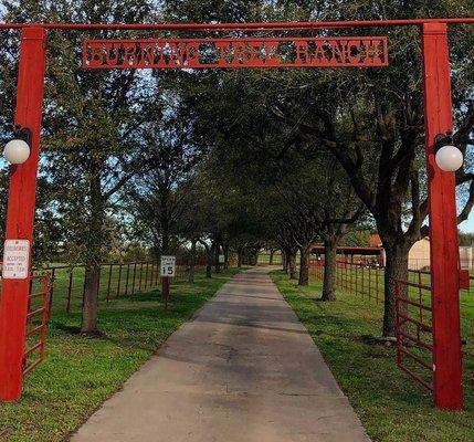 Burning Tree Ranch