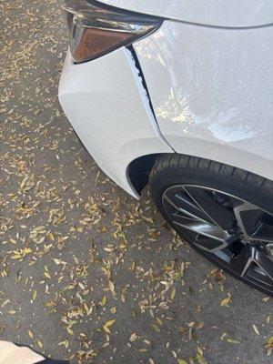 Earl Scheib Collision