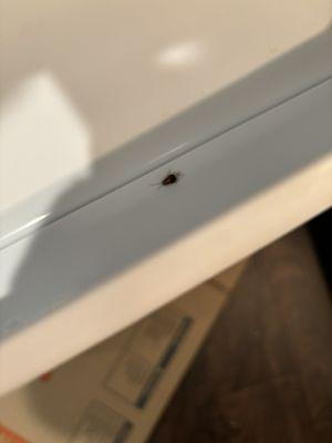 Bell Southpark Apartments