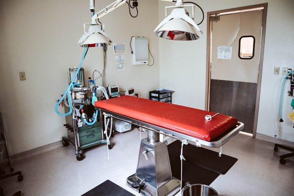 Surgery room in Gardens Veterinary Hospital
