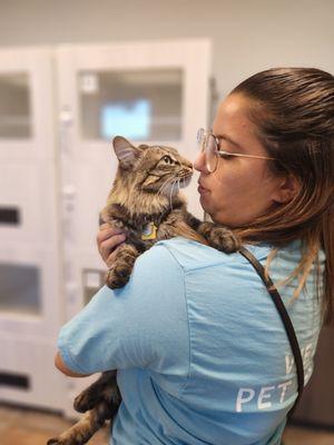 Pet Paradise Lake Buena Vista