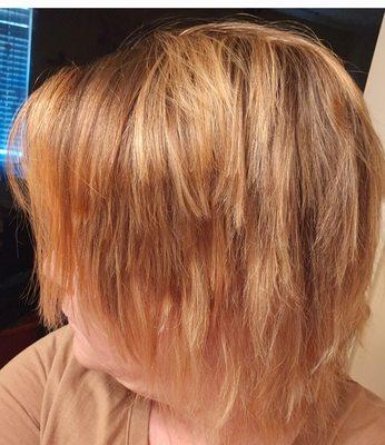 Brooklyn Lambert/"stylist"/ Ruined my cut/"Shag", Ruined my color/"Rose Gold/Blush", Eyebrows uneven. Paid=$225 NO Refunds. NO Recourse.