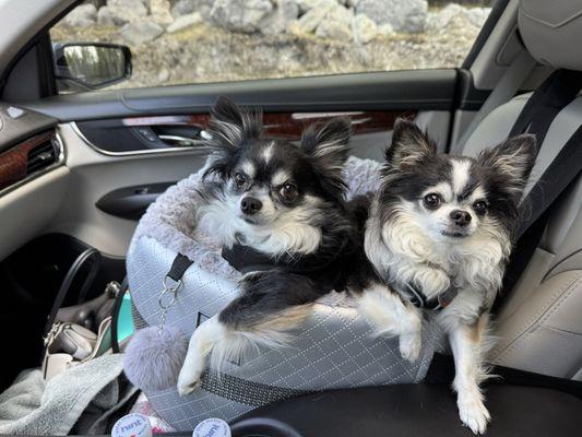 Whitefish Animal Hospital