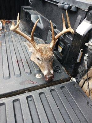 End Of The Road Deer Processing