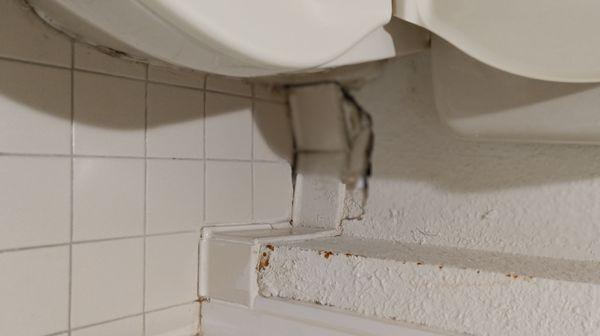 Behind the toilet...surprise