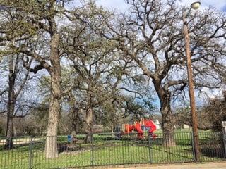 Great park for the kiddos and the animals while you care for your car!  Its right behind the car wash vacuums so you can keep an eye on them