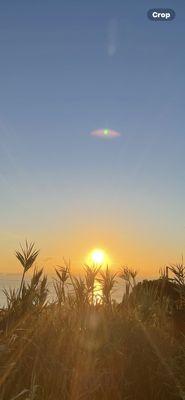 They helped me even when I was broke and worked with me. Great people great business.