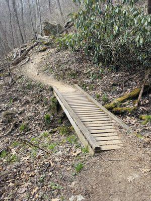 daniel boone national forest