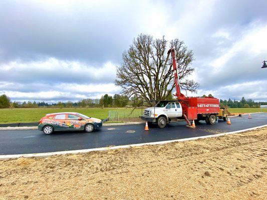 Northwest Arbor-Culture - Tree Services