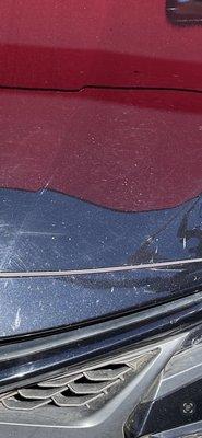 Dirty bumper and scratched on hood