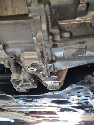 George's Transmissions