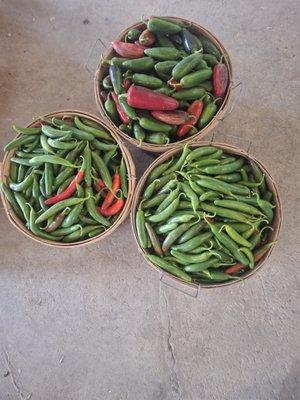 Fryear's Little Red Market