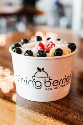 Raining Berries - Southside Village