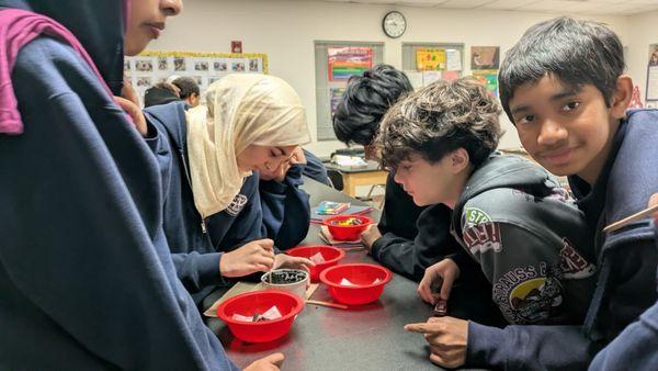 7th graders in our science lab observing worms.