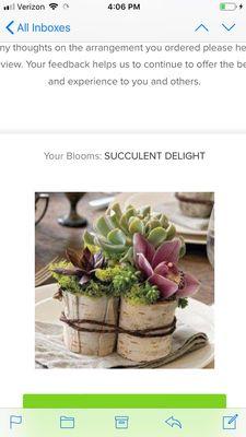 What I thought I ordered (cute bark vases, etc)