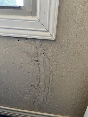 West Texas Exteriors Inc-