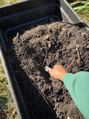 Common Ground Relief