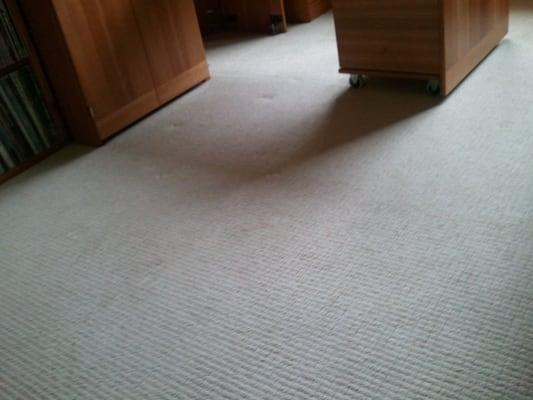 Steam'n Temen's Carpet Cleaning