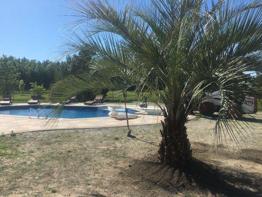 Paradise Palms Va