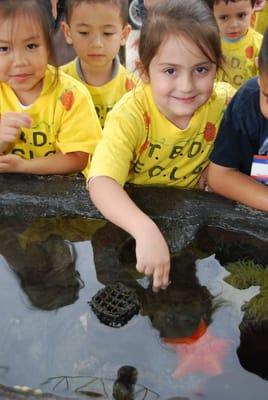 Our field trip to the aquarium