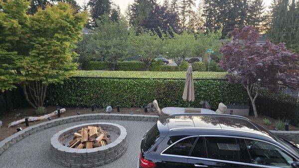 Tam's Professional Landscaping Services