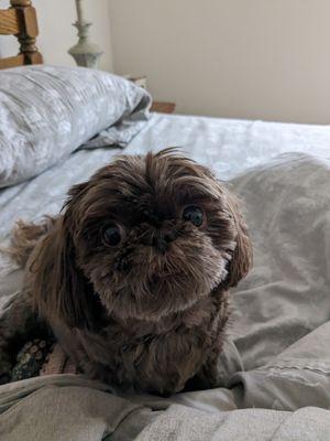 Fayette Veterinary Clinic