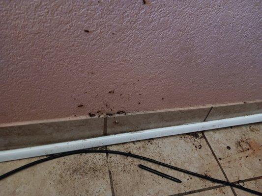 Stayable Suites Kissimmee East