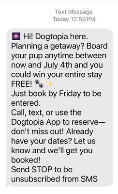 Dogtopia of West Midtown Atlanta