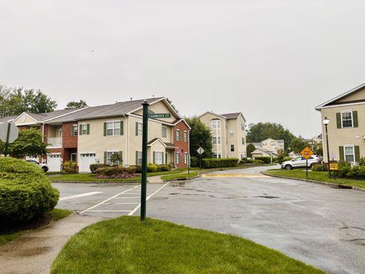 Homestead Management Services, Inc