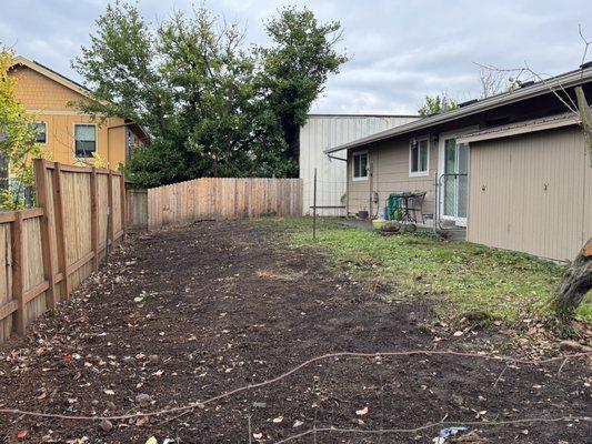 The removal of the English Laurels left a bare spot whereI can now plant grass.