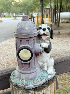 Doggy in the dog park