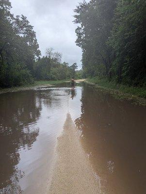 Shades of Sherwood Campground