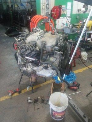 MTB Performance Shop