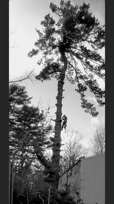 Florida Family Roots