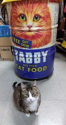 Harvey the Newburgh SCATS mascot,  Posing with a very large can of cat food .