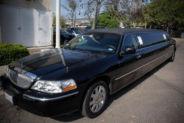 Designated Chauffeur