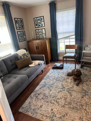 NB Professional Cleaning