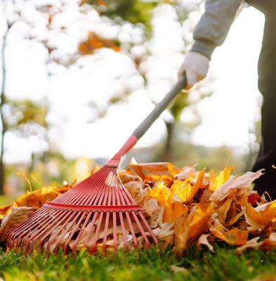 MSCA Versatile Services